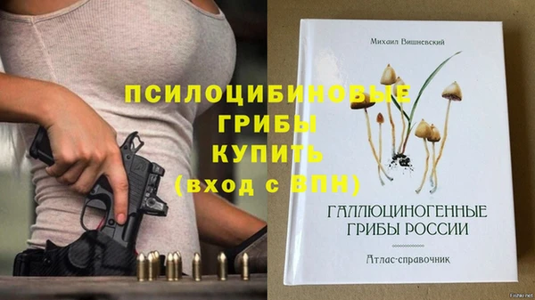 ГАЛЛЮЦИНОГЕННЫЕ ГРИБЫ Волоколамск